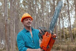 leñador en acción a trabajo en un bosque foto