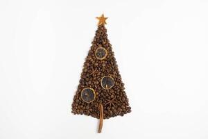 Coffee bean spruce with dried lemon slices, cinnamon on a white background photo