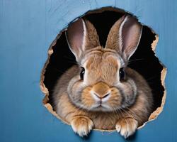 AI generated Photo Of Bunny Peeking Out Of A Hole In Blue Wall Fluffy Eared Bunny Easter Bunny Banner Rabbit Jump Out Torn Hole. AI Generated