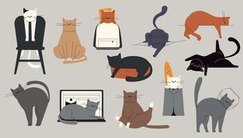 Cats behavior. Cartoon cute kitten playing with toys, funny cats in various poses and activities. Vector cute kitten characters isolated set