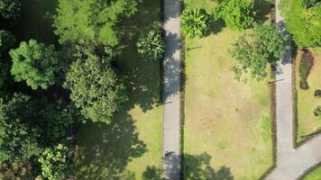 explorer jakarta gelora bonde Karno parc de le ciel avec drone images. voir iconique Repères, animé des rues, et serein Matin activités. parfait endroit à début votre journée. video