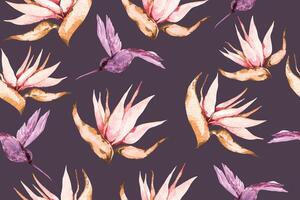 Seamless pattern of Bird of Paradise and hummingbirds on purple background.For fabric luxurious and wallpaper, vintage style.Hand drawn botanical floral watercolor colorful pattern.Flower background vector