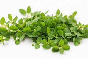 AI generated Fenugreek leaves isolated on white background photo