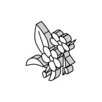 Cereza flores isométrica icono vector ilustración
