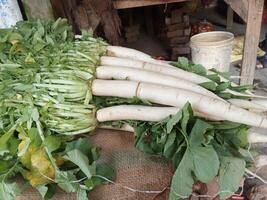 white Radishes with green leaves photo