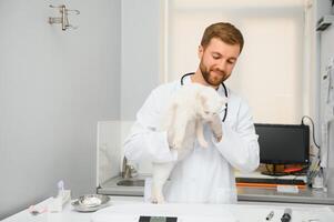 hermoso joven veterinario participación gato en clínica foto