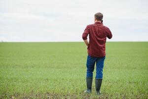 Farmer standing in field with green plants photo