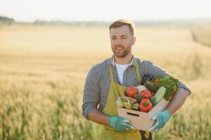 farmer holding a crate of bio vegetables in the farm. Happy man showing box of harvested vegetables. photo