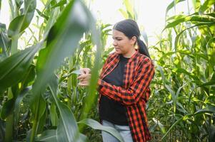 Young female farmer working in the field and checking plants, agriculture and healthy living concept photo