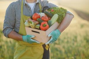 Farmer hands holding wooden box with different vegetables photo