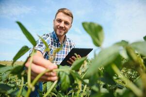 Young farmer in soybean fields photo