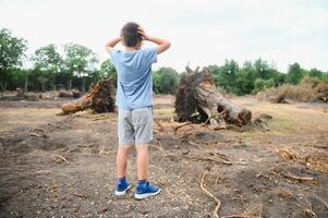 deforestación un triste chico soportes en el medio de un cortar bosque. foto