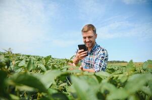 Young farmer in soybean fields photo