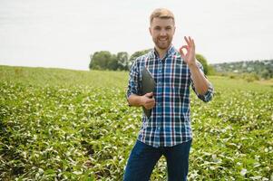 farmer agronomist in soybean field checking crops. Organic food production and cultivation photo