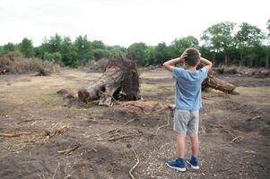 deforestation A sad boy stands in the middle of a cut forest. photo