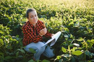 Caucasian female farm worker inspecting soy at field summer evening time somewhere in Ukraine photo