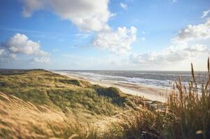 Overlooking dunes at danish coastline photo