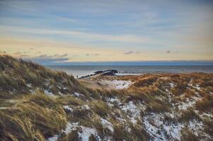 Snowy dunes at Danish coast on cold winter day photo