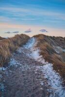 icy path at the beach in winter in denmark photo