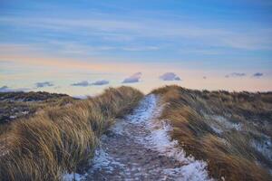 long Pathway to the beach during evening in winter photo