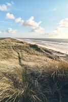 Scenic view over dunes at danish coast photo