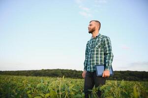 Young agronomist holds tablet touch pad computer in the soy field and examining crops before harvesting. Agribusiness concept. agricultural engineer standing in a soy field with a tablet in summer. photo