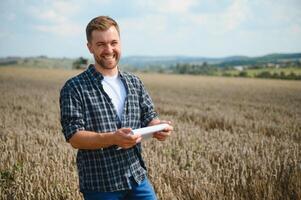 Young farmer in wheat field during harvest in summer photo