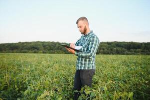 Farm worker controls development of soybean plants. Agronomist checking soya bean crops growing in the field photo