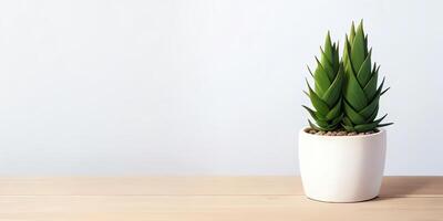 AI generated illustration Succulent plant on wooden table copy space mockup ai generated photo