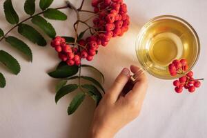 rowan berries warmth autumn comfort coziness photo