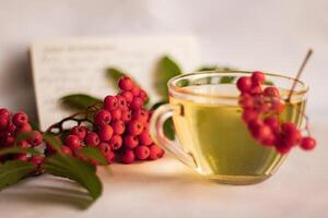 rowan berries warm autumn tea photo