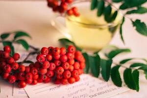 rowan sprig cup of tea and letter photo