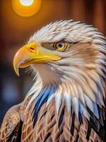 ai generado de cerca foto de un águila o halcón