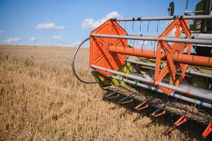 Combine harvester harvests ripe wheat. agriculture photo