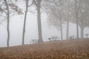 brumoso noviembre Mañana en un apuntalar de el Tennesse río a colbert transportar parque, natchez rastro nacional avenida foto