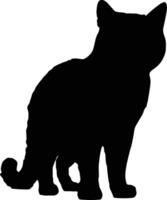 Cat Silhouette illustration Vector White Background