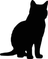 Cat Silhouette illustration Vector White Background