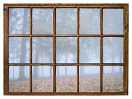 foggy November morning on a shore of a river or lake as seen from a retro sash window photo