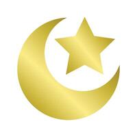 a gold star and crescent on a white background vector