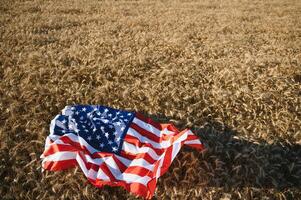 USA American flag spreaded on the golden wheat field. photo