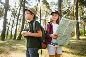 pequeño chico y niña Vamos excursionismo en un bosque la carretera foto