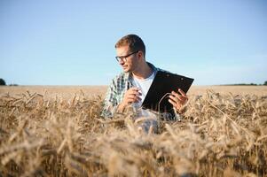 Young agronomist in grain field. Cereal farming photo