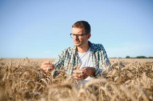 Young agronomist in grain field. Cereal farming photo