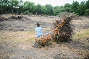 the concept of nature protection. Deforestation. photo