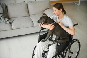 Young woman in wheelchair with dog indoors photo