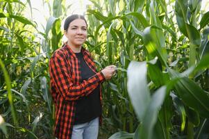 Agronomist farmer woman in corn field. female farm worker analyzing crop development. photo