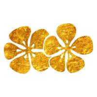 Hand drawn Jasmine flowers icon in gold foil texture vector illustration