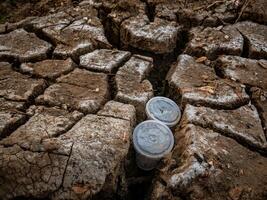 two plastic cups stuck in cracks in the ground due to drought photo