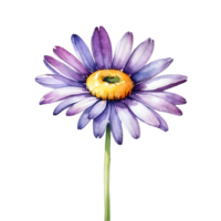 AI generated watercolor flowers on transparent background png