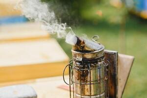 un herramientas de el apicultor. todo para un apicultor a trabajo con abejas. fumador, un cincel, un caja, apicultor traje para proteccion desde el abejas, equipo para apicultura, apicultura concepto foto